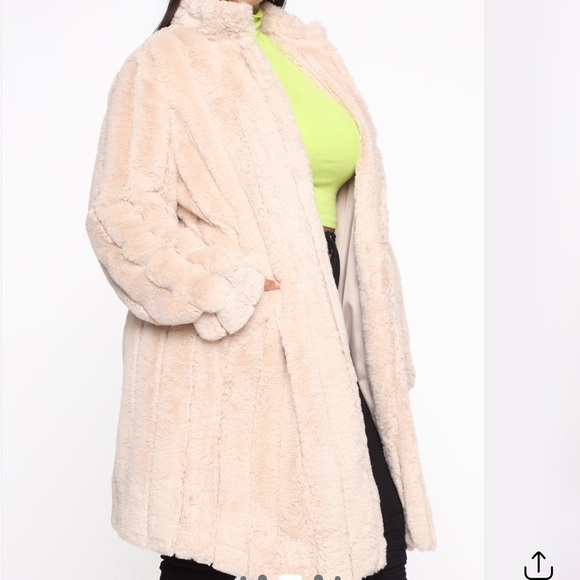 Cream Teddy Jacket - Picture 8 of 8